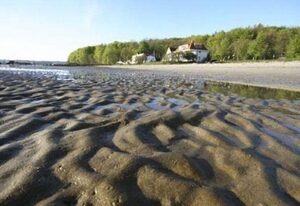Boutique Hotel Wassersleben – "Wassersleben" - Deluxe