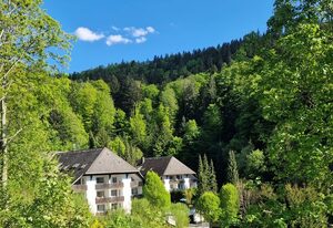 Ferienwohnung Triberg am Waldrand - idyllisch, ruhig, erholsam – Charmante kleine Ferienwohnung - idyllisch am Waldrand, 1-2 Personen