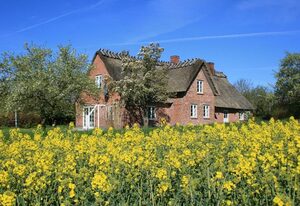 Altes Schusterhus