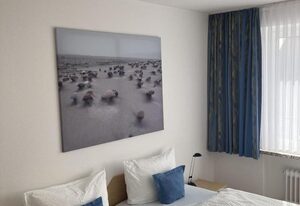 Panorama Baltrum Whg 6