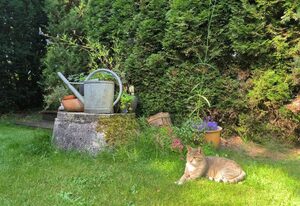Inger: Modernes Ferienhaus mit Terrasse und Gartennutzung – Ferienhaus Inger