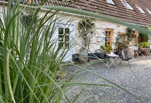 Strandhof Holnis – Strandhof Holnis - Strandläufer