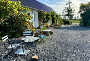 Strandhof Holnis – Strandhof Holnis - Strandläufer