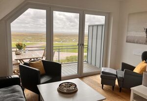 Silbermöwe, Haus an den Salzwiesen, Baltrum