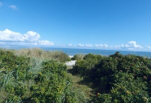 Ferienhaus Urlaub am Meer