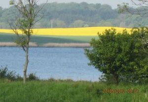 Ferienhaus Noorblick in Maasholm Bad