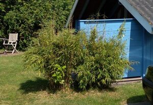 Ferienhaus "Das Blaue Haus"