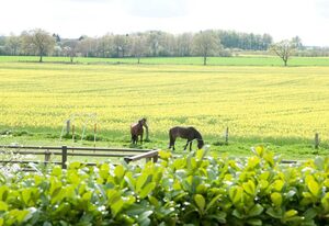 Ferienwohnung Schöne Aussicht - Ferienhof Börsby