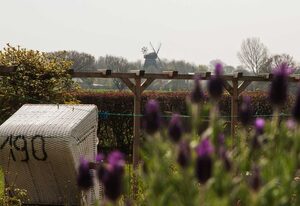 Ferienwohnung Mühlenblick - Ferienhof Börsby