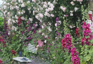 Ferienwohnung Gartenblick - Ferienhof Börsby