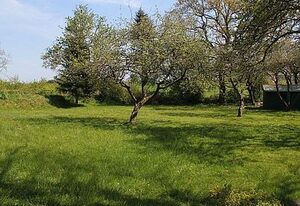 Ferienhaus Zur Salzwiese