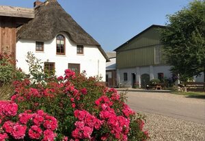 Ferienhof Martens – Fewo 3