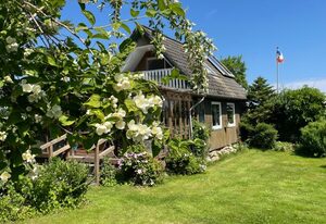 Ferienhaus Detlefsen "Papa's Hütte"