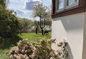 Ferienhaus Leezen