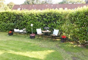 Broers, Privatzimmer – Zweibettzimmer, Dusche, WC