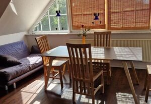 Luxus FeWo mit Dachterrasse für 5 Pers. Top Lage in Kollmar