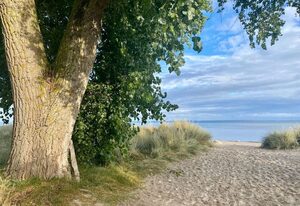 Feriendorf Südstrand – Schönes Ferienhaus für 2 Erwachsene und 4 Kinder mit Kamin & Garten in Strandnähe