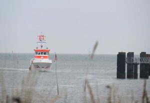 Heckenrose 5  EG rechts