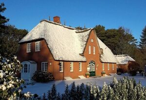 Eismöwe