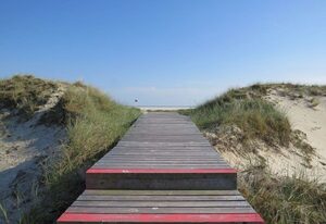 Heckenrose7- Souterrain rechts