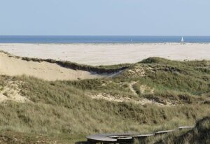 Heckenrose7- Souterrain rechts