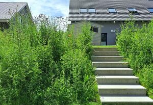 Küstenwaldbude lee – Traum-Neubau: Ferien-Doppelhaushälfte für 8 Gäste in Pelzerhaken an der Ostsee