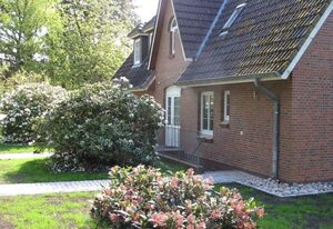 Dünem Kniep  OG re