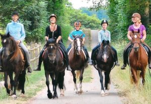 Reiterhof Bökensberg – Die Große im OG mit 95 qm