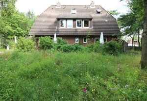 Silbermöwen