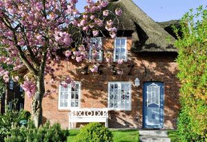 Friesenhaus - Ohl Dörp (Inselhotel Arfsten - AD) – Gartensuite