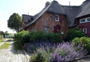 Hahnenhof - Wohnung 6 – Liebevoll eingerichtet: Sauna, Kamin & Terrasse