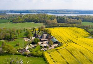 Ferienhof Radlandsichten – Feldkante von Wiebke