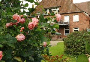 Ferienhof Radlandsichten – Feldkante von Wiebke