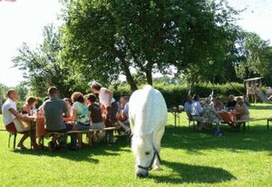 Ferienhof Radlandsichten – Feldkante von Wiebke