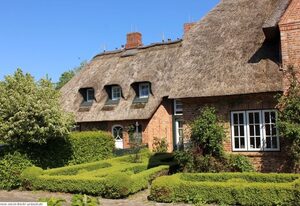 Reethus WE 2, Föhrkiek