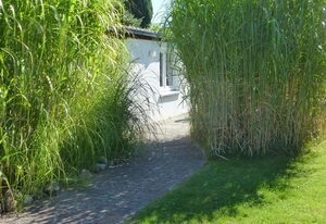 Haus Seemöwe
