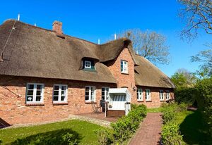 Reetkehlchen