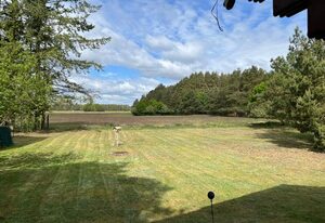 Ferienhaus am Waldesrand