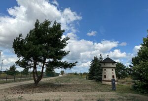 Lokschuppen Pasewalk - Natur-Camping – Stellplatz/Zelt 1