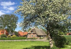 Haus Ruhe unter Reet