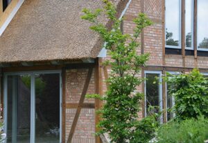 Reetgedecktes Espenhaus – Eulenturm