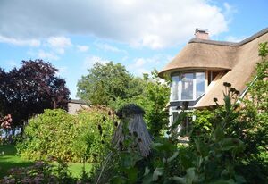 Reetgedecktes Espenhaus – Eulenturm