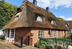 Ferienhaus unter Reet