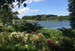 Ferienhäuser Pönitz am See – Bungalow 2, 3-Raum, 55 m², Terrasse