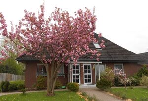 Sunhaus Koch – Ferienhaus