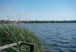 Zur schönen Aussicht, Ferienhaus – Ferienhaus, EG u. DG, 1 Schlafzimmer, Seeblick