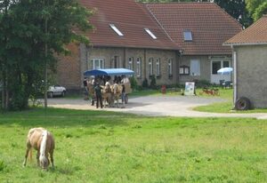 Ferienhof Berit Botschatzke – Bungalow