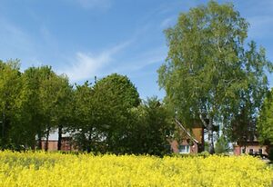 Komfort-Ferienwohnungen Ferienhof Schulz in Brodersby – Ferienwohnung 1 Zweite Heimat