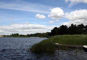 kleines Ferienhaus am idyllischen Tüzer See – Ferienhaus (Ziebell, Torsten)