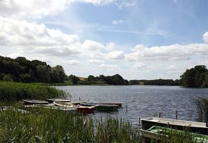 kleines Ferienhaus am idyllischen Tüzer See – Ferienhaus (Ziebell, Torsten)